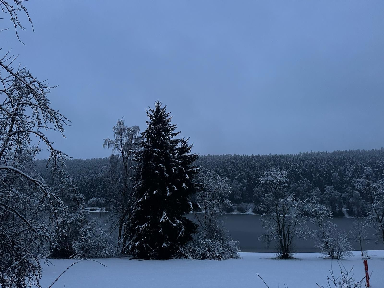 Verschneite Landschaft rund um den Stausee